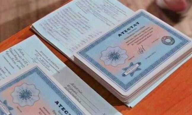 Купить диплом ДМСИ по доступной цене 1003838767